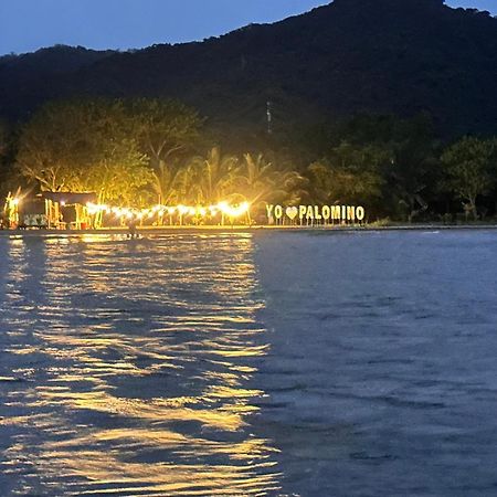 Donama River Palomino Exterior photo