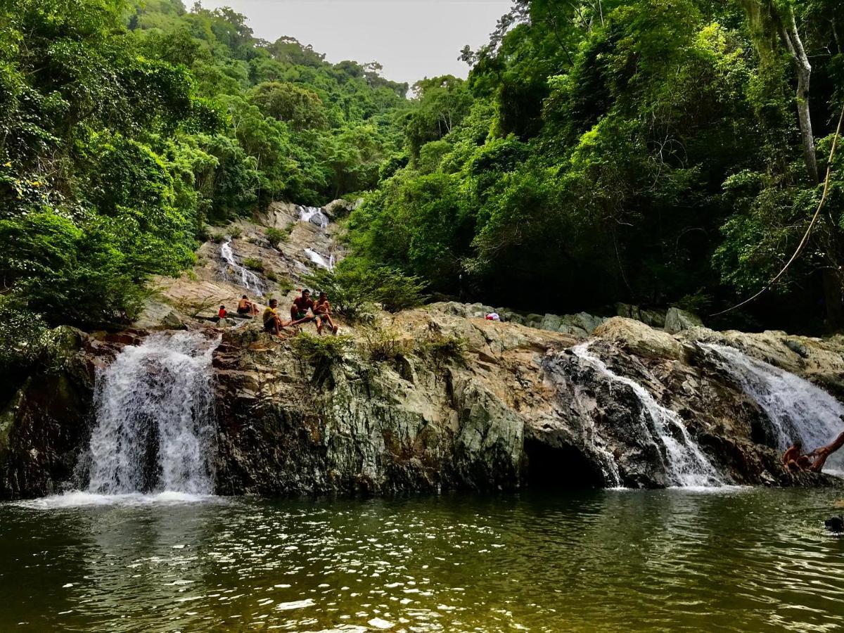 Donama River Palomino Exterior photo